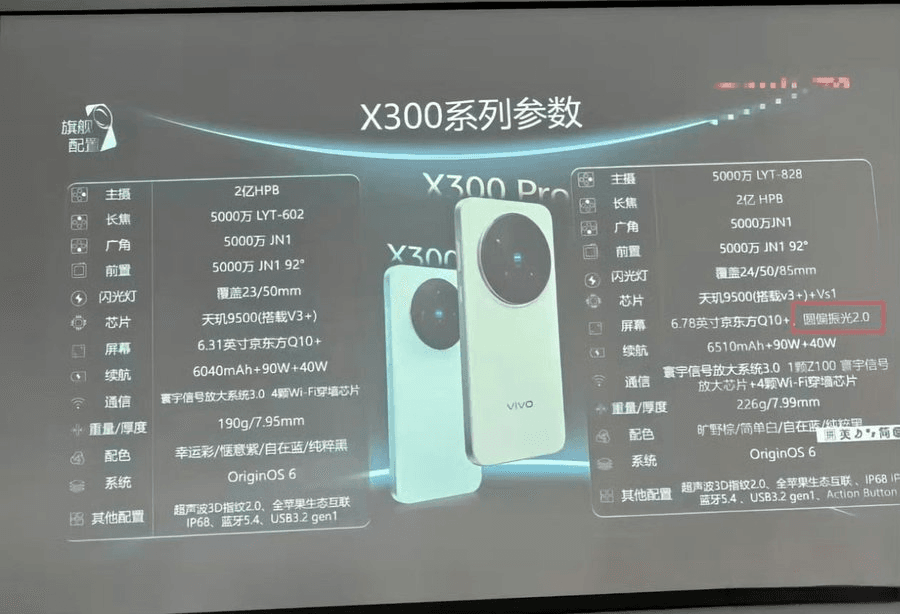 Vivo X300